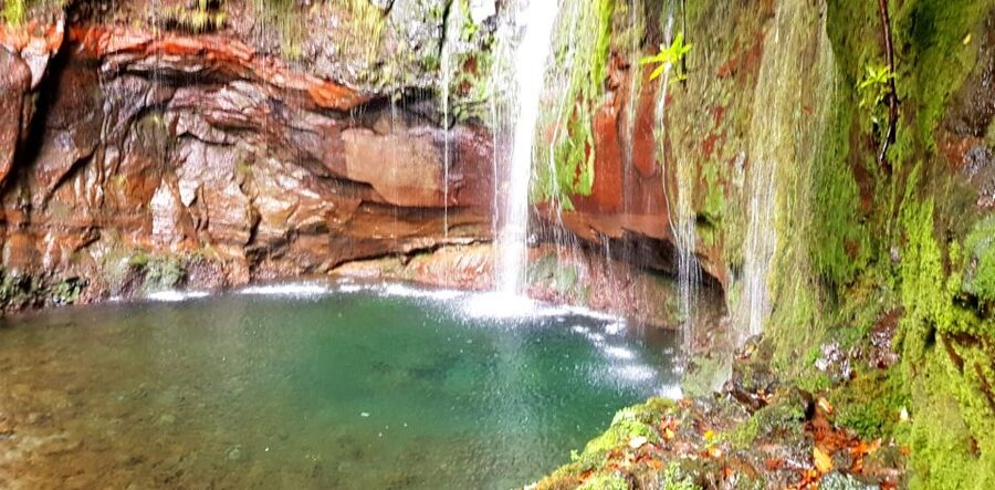 Madeira: Mountain Walk with Lagoon and Waterfalls - From Your Pickup to Paúl da Serra