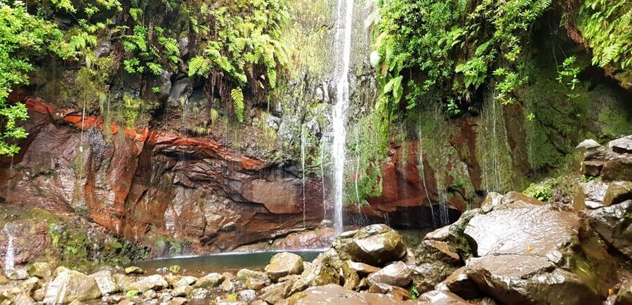 Madeira: Mountain Walk with Lagoon and Waterfalls - Paúl da Serra and Risco Waterfall: the parts between the photos