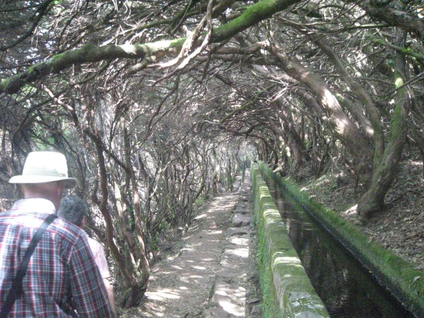 Madeira: Mountain Walk with Lagoon and Waterfalls - What the guide actually adds (besides pointing stuff out)