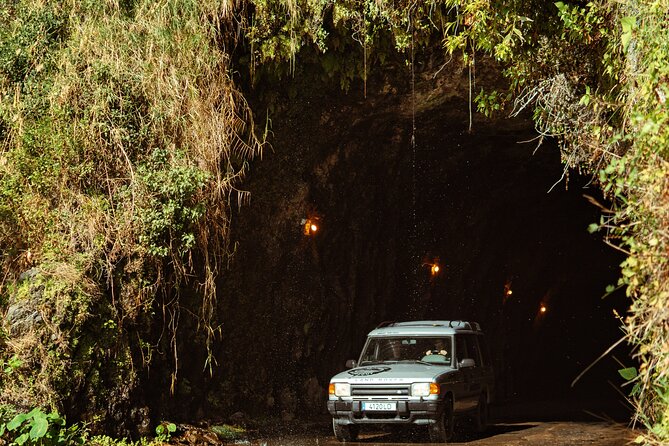 Madeira "Mystery Tour" - Full Day Private 4x4 Jeep - What you might see: viewpoints, forests, rum, and volcanic ocean pools