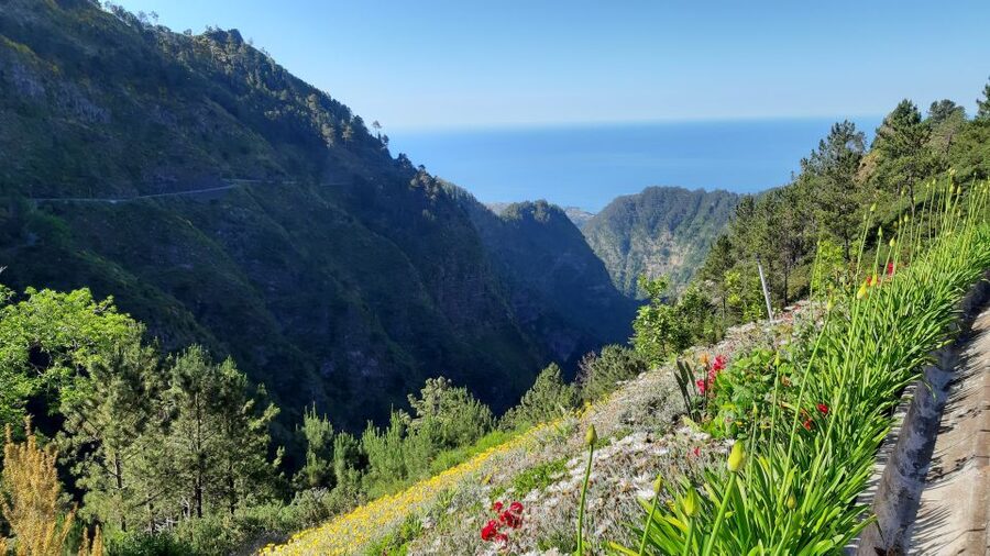 Madeira: Nun's Valley Private Tour - Practical pace: How private transportation keeps the day smooth