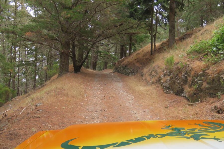 Madeira : Nun's Valleys and Pico Areeiro 4X4 Tour - Itinerary Pacing: What Feels Relaxed, What Feels Tight
