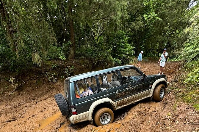 Madeira Off-Road 4x4 Jeep Adventure Private Full day Tour - Why this private 4x4 day feels different on Madeira