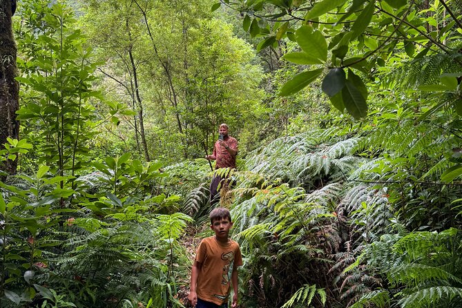 Madeira Off-Road 4x4 Jeep Adventure Private Full day Tour - Pickup timing from Funchal: when your day really starts