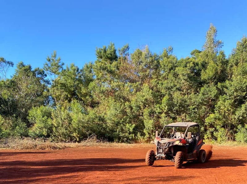 Madeira: Off-Road Buggy Driving Experience - Price and value: is $176 per group a good deal?