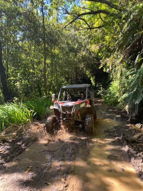 Madeira: Off-Road Buggy Driving Experience - Madeira’s Laurisilva Off-Road Buggy: a different island side