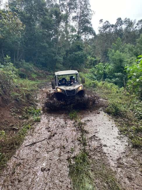 Madeira: Off-Road Buggy Driving Experience - Stops for views: iconic photo moments without the rush
