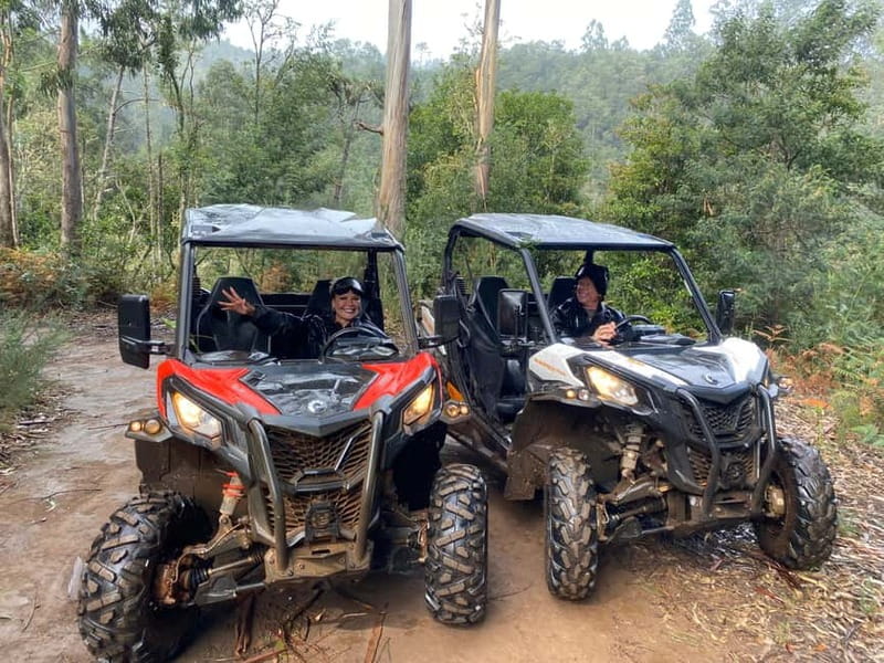 Madeira: Off-Road Buggy Driving Experience - Who should book this buggy ride