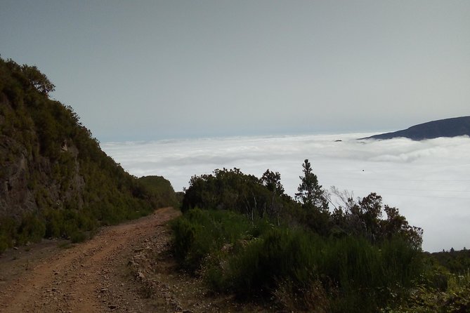 Madeira Off-Road Tours - Should you book Madeira Off-Road Tours?