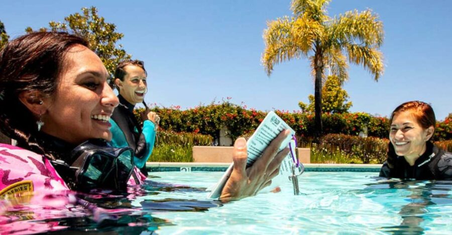 Madeira: Open Water Diver First Certification Course - Key takeaways before you commit