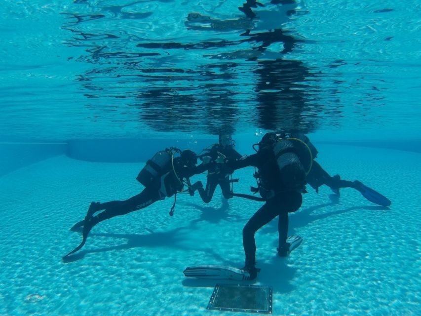 Madeira: Open Water Diver First Certification Course - Language, timing, and the kind of schedule you’ll need