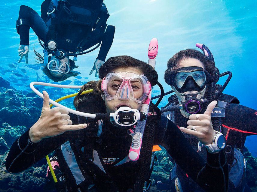 Madeira: Open Water Diver First Certification Course - Who this Madeira Open Water course suits best