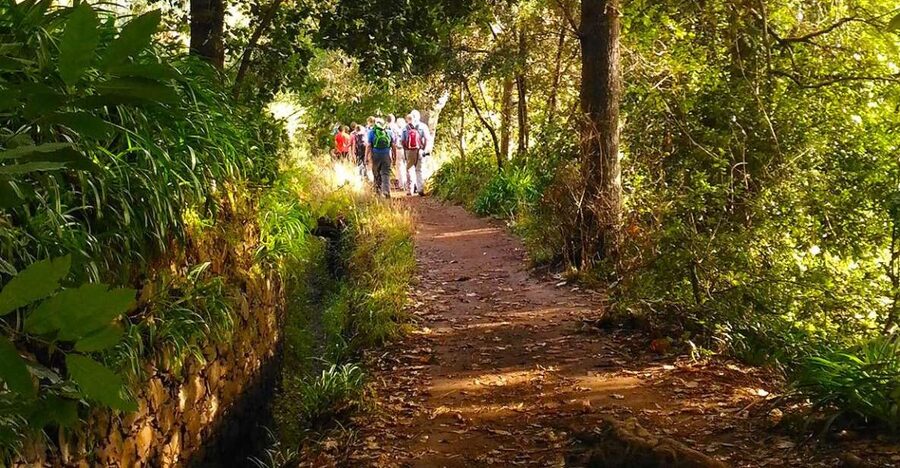 Madeira: Paradise Valley Levada Walk - From Funchal pickup to Vale do Paraíso: start the walk in cooler air