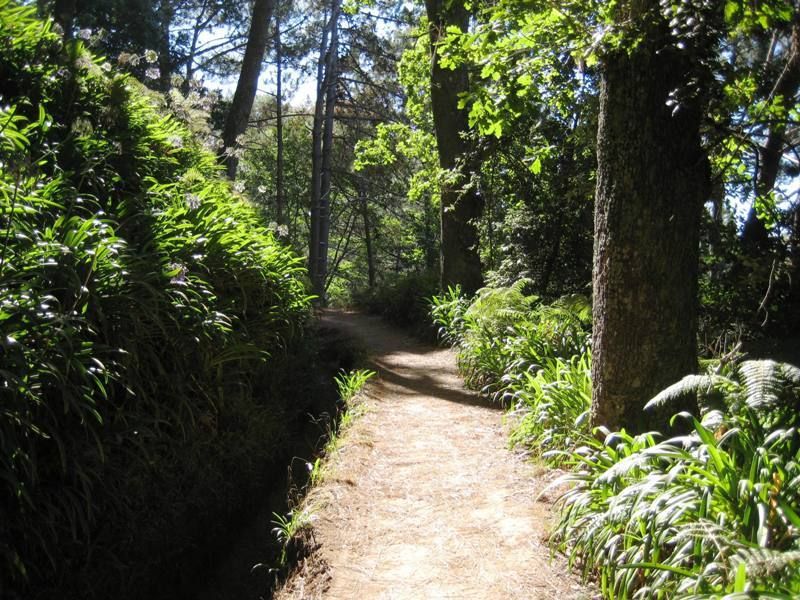 Madeira: Paradise Valley Levada Walk - The Levada Da Serra do Faial: your guided walk along a water lifeline