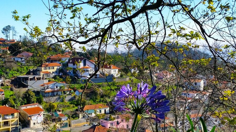 Madeira: Paradise Valley Levada Walk - Rochão direction: steady hiking with a sense of progress