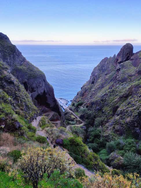 Madeira: Paul do Mar Guided Hike - Raposeira and Fajã da Ovelha: rural Madeira on quieter trails