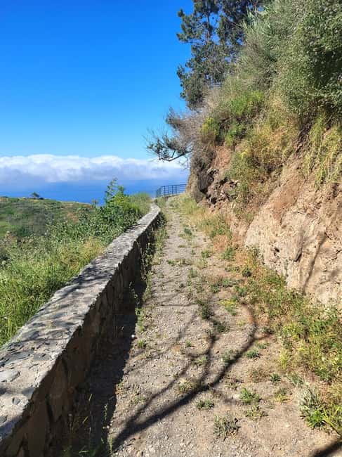 Madeira: Paul do Mar Guided Hike - Endemic flora and wildlife spotting that actually feels doable
