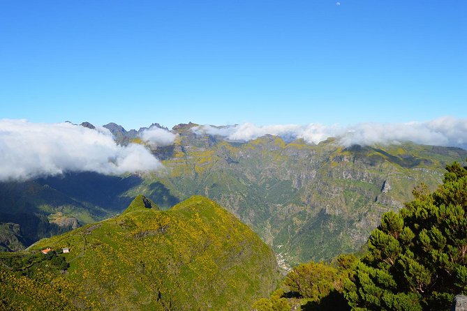 Madeira Peaks - Mountain Walk - Morning logistics in Funchal: pickup, drop-off, and timing