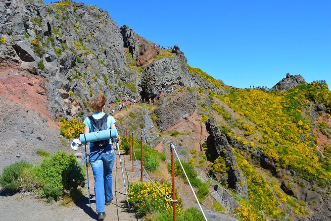 Madeira Peaks - Mountain Walk - Stop 3: Vereda do Pico Ruivo—old heather forest and big exposure