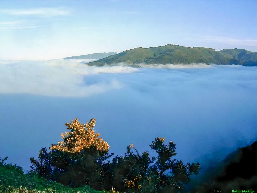 Madeira: Pico Arieiro to Pico Ruivo Hike - Pickup points and what to do the day you go