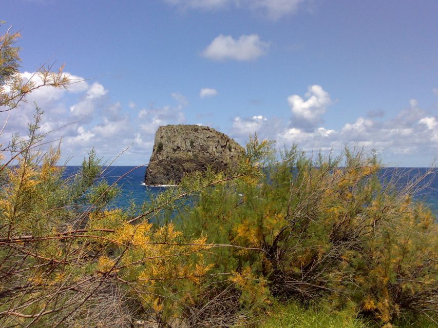 Madeira: Pico do Arieiro & Laurissilva Forest - East tour - Key Things That Make This East Tour Worth Your Time