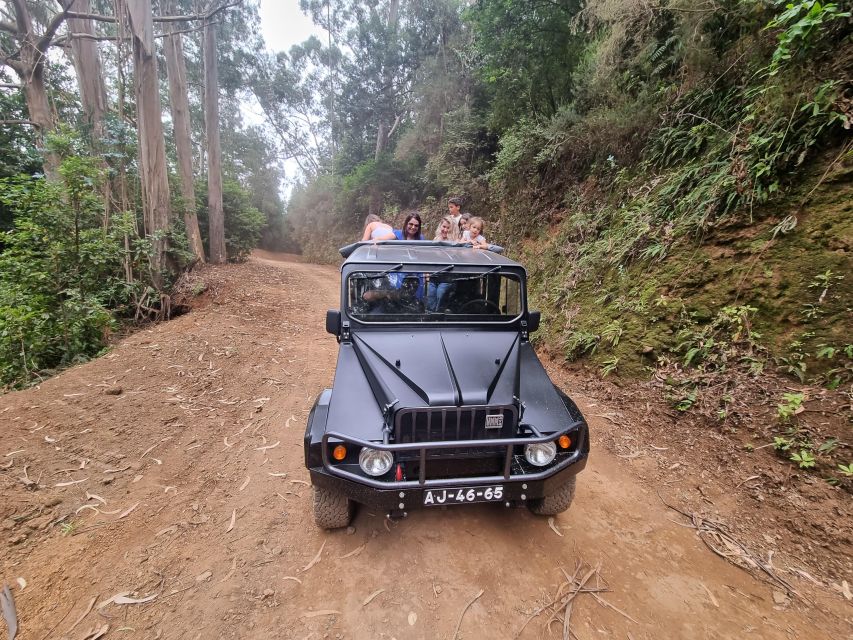 Madeira: Picturesque Peaks and Skywalk private 4x4 Jeep tour - Who this private 4x4 tour fits best