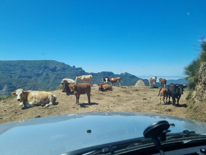 Madeira: Picturesque Peaks and Skywalk private 4x4 Jeep tour - Boca dos Namorados and the Nuns Valley: the 1050m viewpoint payoff