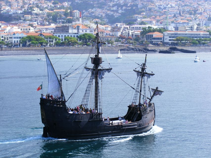 Madeira Pirate Ship: 3-Hour Boat Trip - Dolphins and Whales: What You Can Do and What You Can’t Control