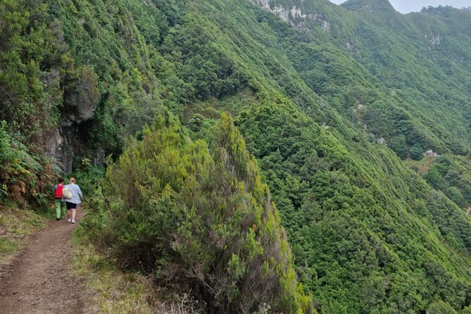 Madeira Porto da Cruz to Machico Self Hiking Tour with Transfer - What You’ll See: Coastal Views, Mountain Air, and a Quieter Pace