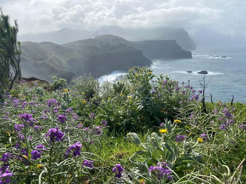 Madeira: PR8 -Ponta de São Lourenço Natural Reserve Transfer - Desembarcadouro and Farol Islets: the “payoff views” stretch