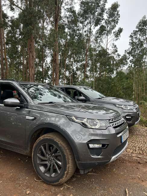 Madeira: Premium 4x4 Adventure Tour - Forest Roads and Levadas: The Madeira You Don’t See From the Main Roads