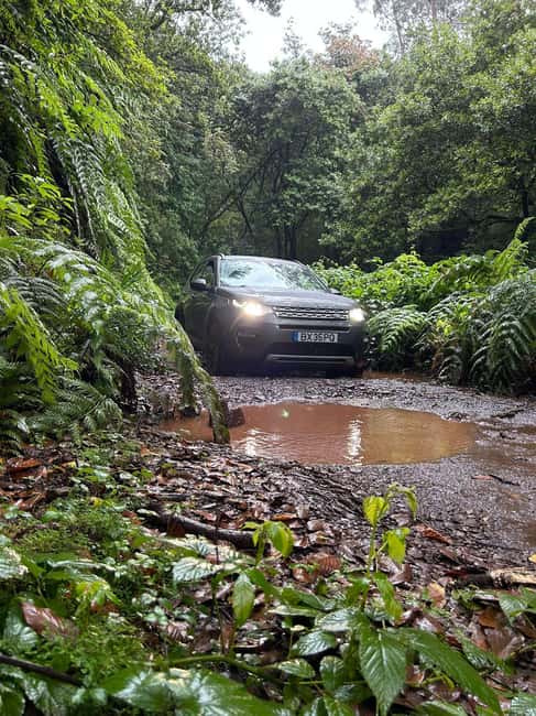 Madeira: Premium 4x4 Adventure Tour - Private or Small Groups: Why the Pacing Feels Better
