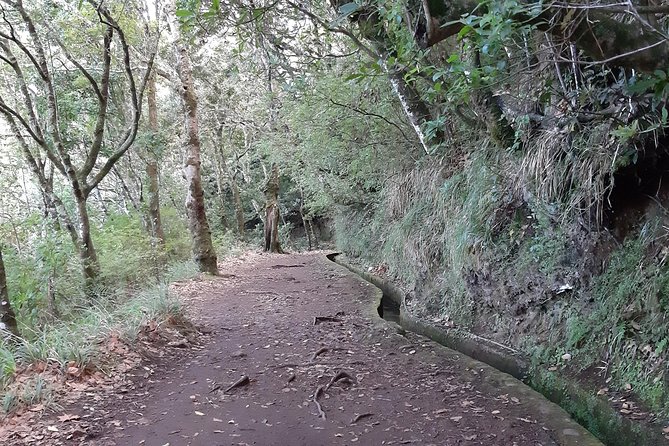 Madeira: Private 1.5-Kilometer Levada dos Balcões Hike PR11 - Private PR11 Levada dos Balcões: What You’re Actually Doing