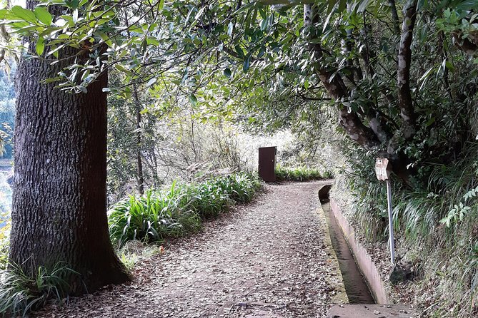 Madeira: Private 1.5-Kilometer Levada dos Balcões Hike PR11 - Ribeiro Frio to Balcões Belvedere: The Walk in Plain Terms