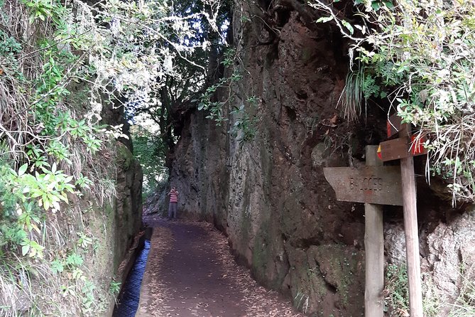 Madeira: Private 1.5-Kilometer Levada dos Balcões Hike PR11 - The Levada System Lesson You’ll Actually Remember