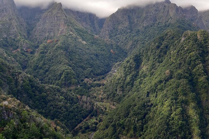 Madeira: Private 1.5-Kilometer Levada dos Balcões Hike PR11 - Optional Lunch Upgrade: When It Makes Sense