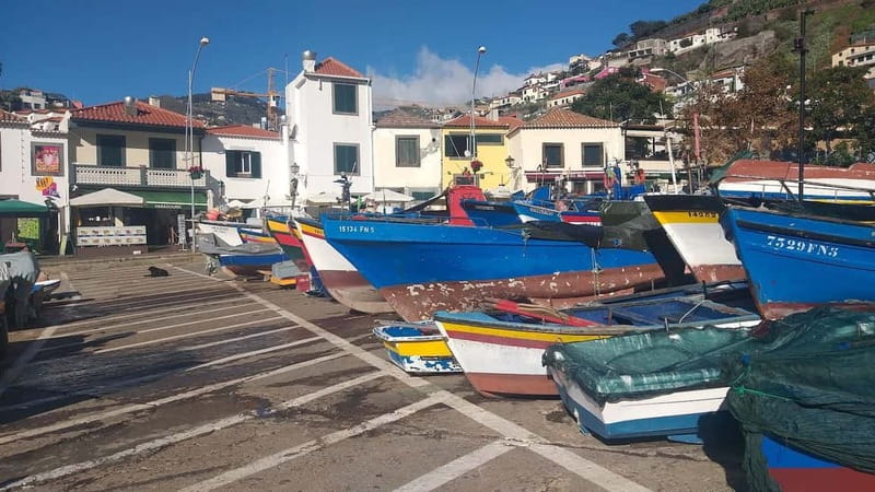 Madeira Private 4-Seater Mercedes VIP - Best Fit: Cruise Days, Families, and Wheelchair-Friendly Planning