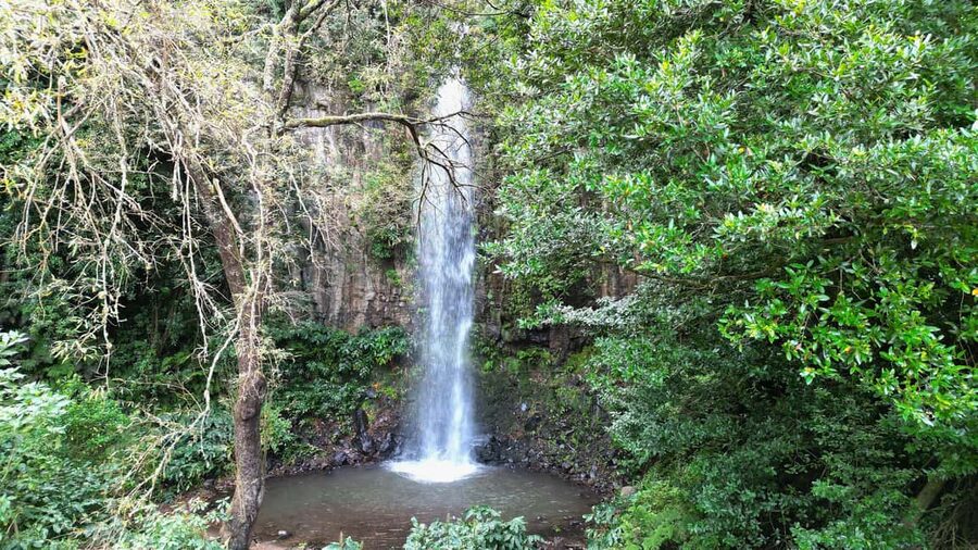 Madeira: PRIVATE 4x4 Jeep Tour - Guide, Safety, and Photo Stops That Don’t Feel Awkward