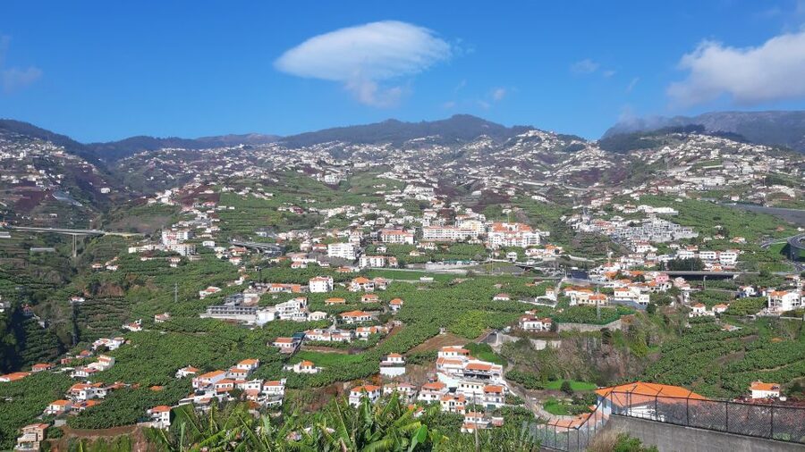 Madeira: Private Banana Farm Tour with Pickup - The tasting moment: linking science and sweetness