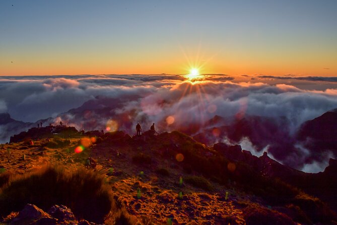 Madeira Private Bespoke Exclusive Grand Tour | Premium Quality - Connecting condensation, waterfalls, and laura e silva (the Madeira “why”)