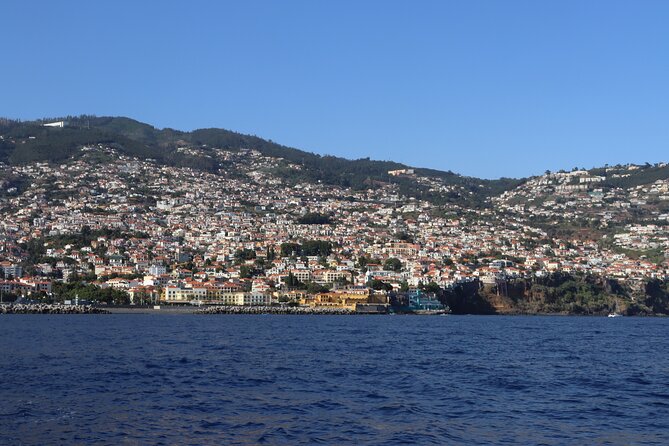 Madeira Private Boat Tour from Funchal - Garajau Natural Reserve: Whaling History and Protection Work