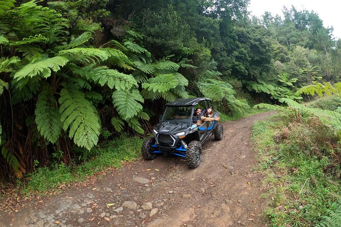 Madeira Private Buggy Adventure: Forest and Mountains - Polaris RZR XP 1000: why this buggy adventure works in Madeira