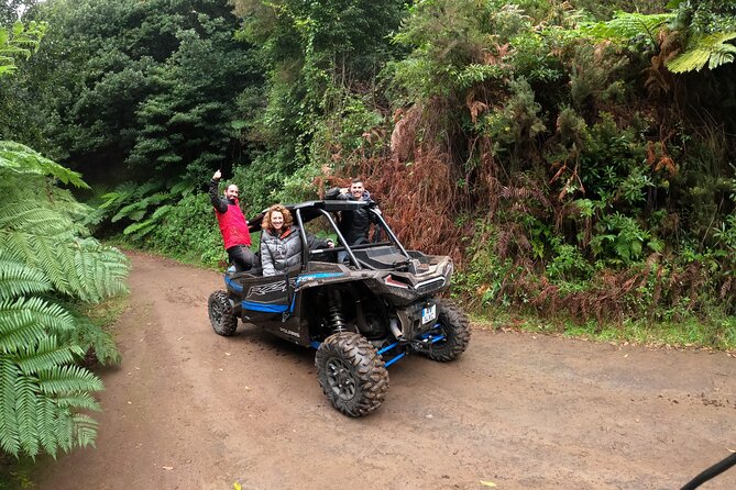 Madeira Private Buggy Adventure: Forest and Mountains - On-road plus off-road: what the ride is really like