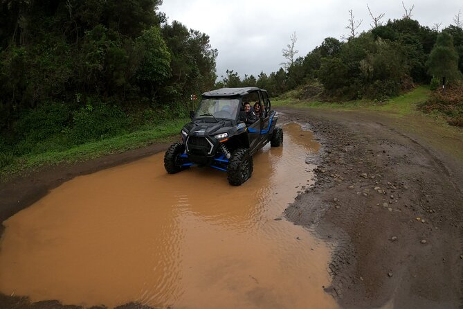 Madeira Private Buggy Adventure: Forest and Mountains - GoPro photos and videos: turning chaos into keepsakes