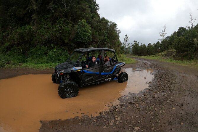 Madeira Private Buggy Adventure: Forest and Mountains - What’s included, what’s not, and what to plan around