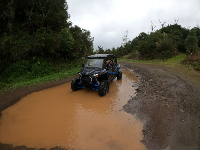 Madeira Private Buggy Adventure: Mountains and Forests - Why a Polaris RZR XP4 buggy makes sense in Madeira