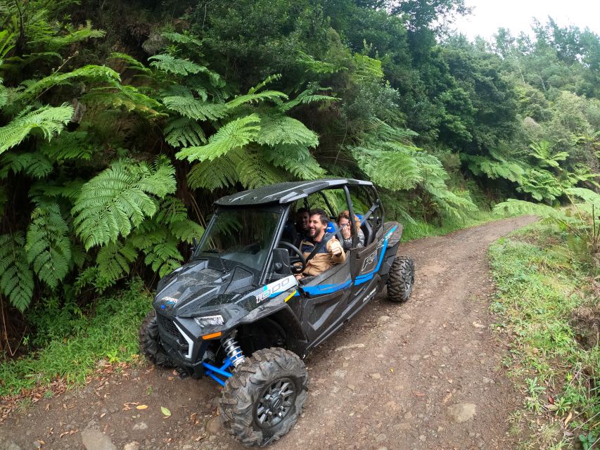 Madeira Private Buggy Adventure: Mountains and Forests - First road hits: Pico Alto, Poiso, and Pico do Suna