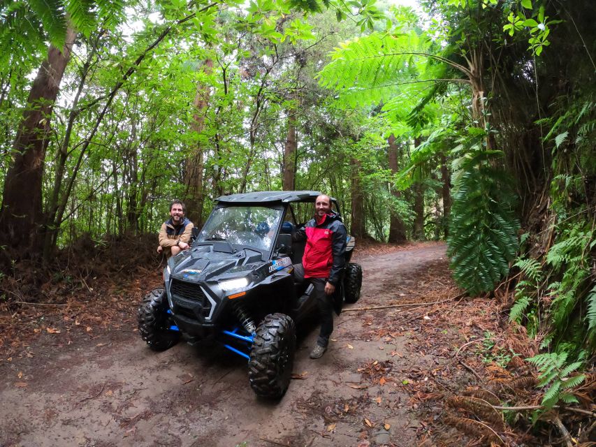 Madeira Private Buggy Adventure: Mountains and Forests - Lamaceiros lagoon and Portela viewpoint: where the scenery opens up