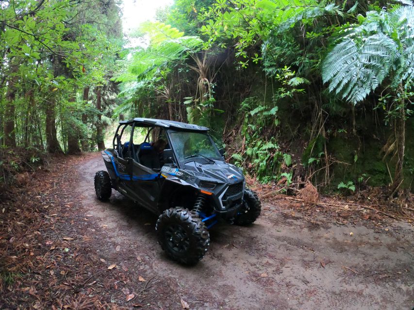 Madeira Private Buggy Adventure: Mountains and Forests - Serra das Funduras and the Laurissilva Forest road