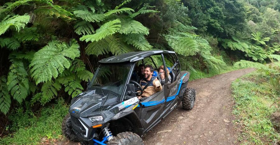 Madeira Private Buggy Adventure: Mountains and Forests - How the ride works: drive it, or let the guide handle it